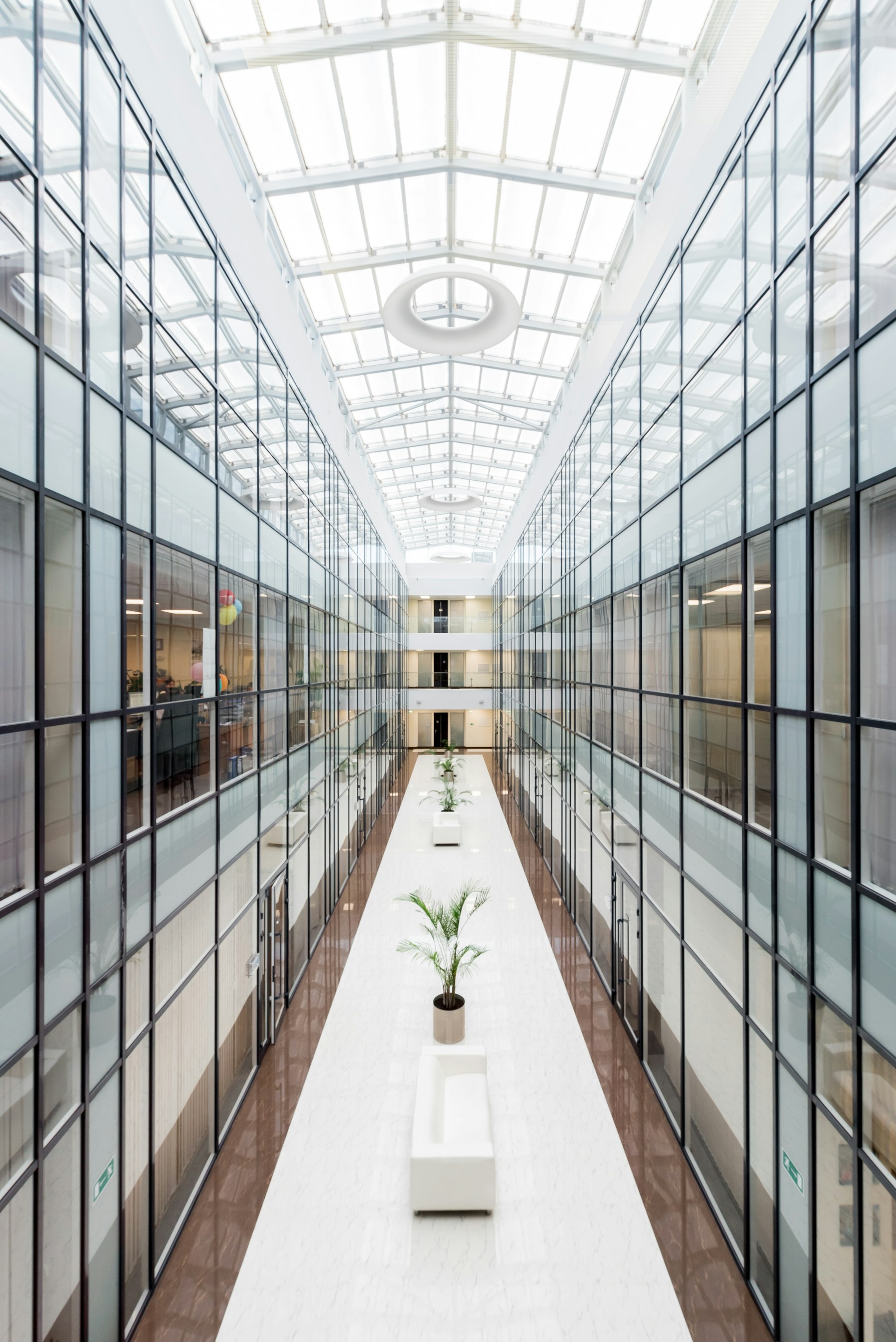 A bright modern office hallway with glass walls and plants